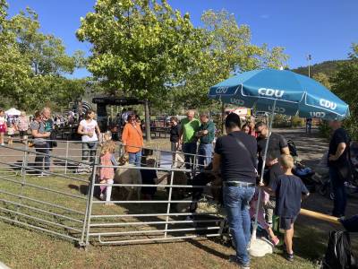 Auch das F�ttern der Tiere mit Heu war bei den Kids beliebt.