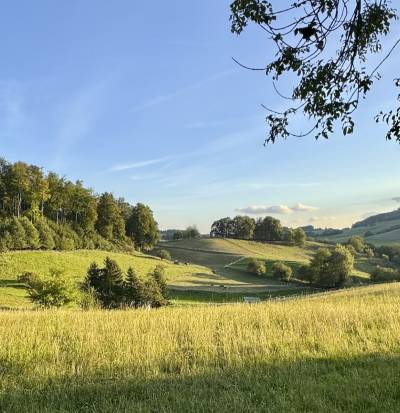 Die rund drei Kilometer lange Strecke f�hrte durch die malerisch gef�rbte Landschaft.