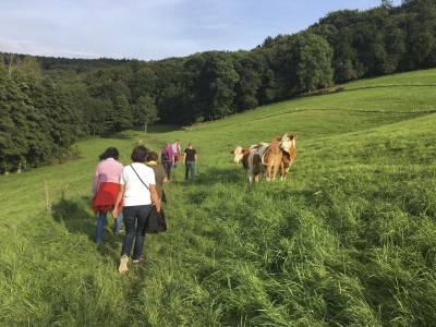 �ber den Schollrain und eine Weide ging es dann talaufw�rts zum alten Hochbeh�lter.