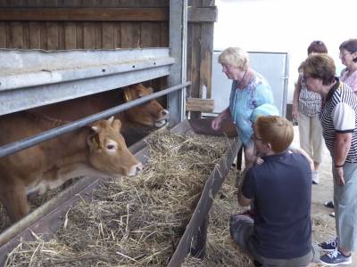 Rinder und Schweine werden gez�chtet und in der eigenen Mezgerei selbst vermarktet.