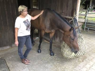 Britta Hoffner zeigte uns auch Leas Turnierpferd. Vielen Dank an Familie Hoffner f�r den interessanten Abend!