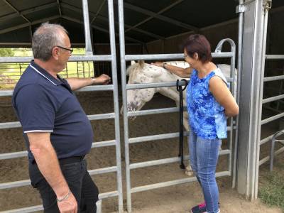 Biggi und Marco Hesser begutachten den gefleckten Schimmel.